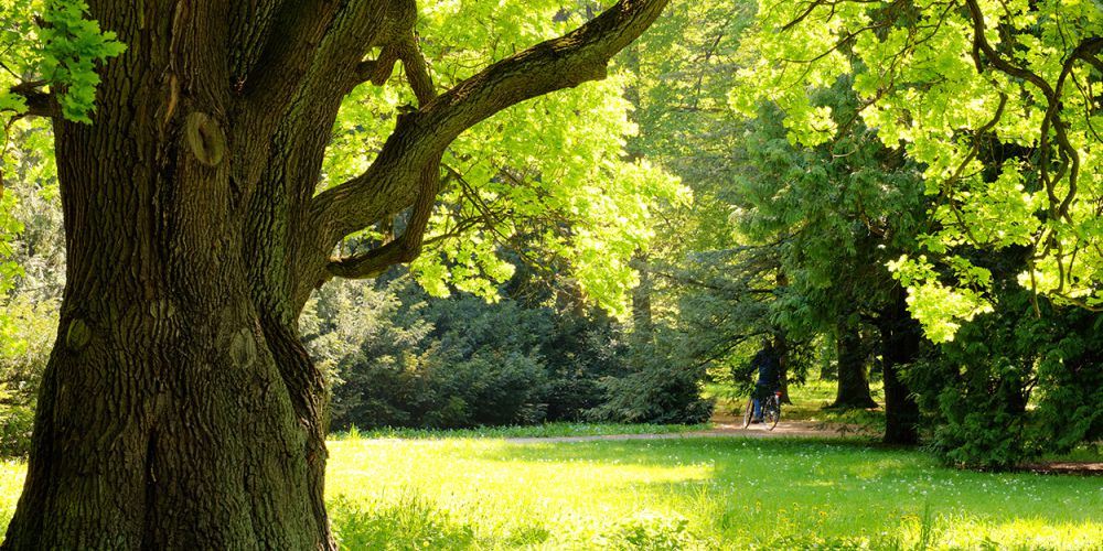Eichenscheune Bocholt: Blog