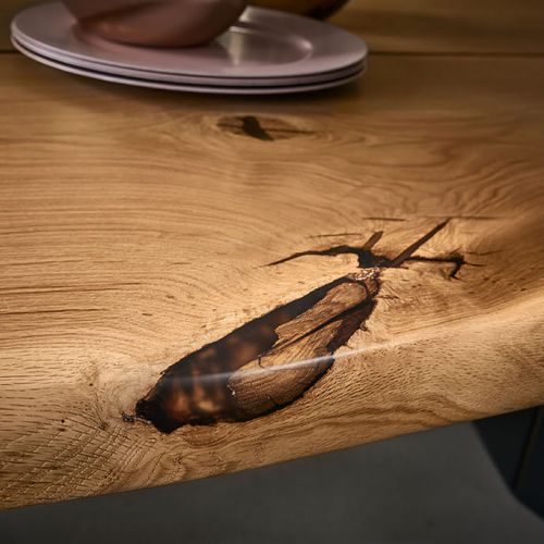 Wimmer Möbelprogramm 18Hundert